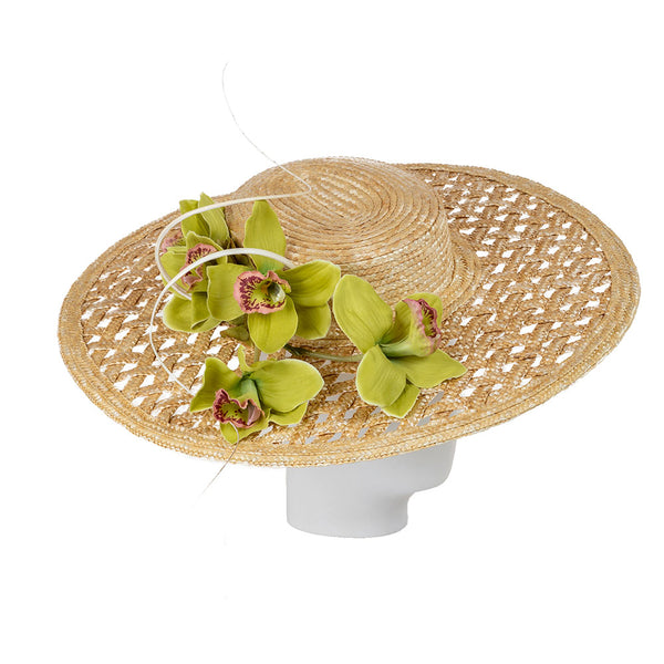 Spin the Wheel of Fortune