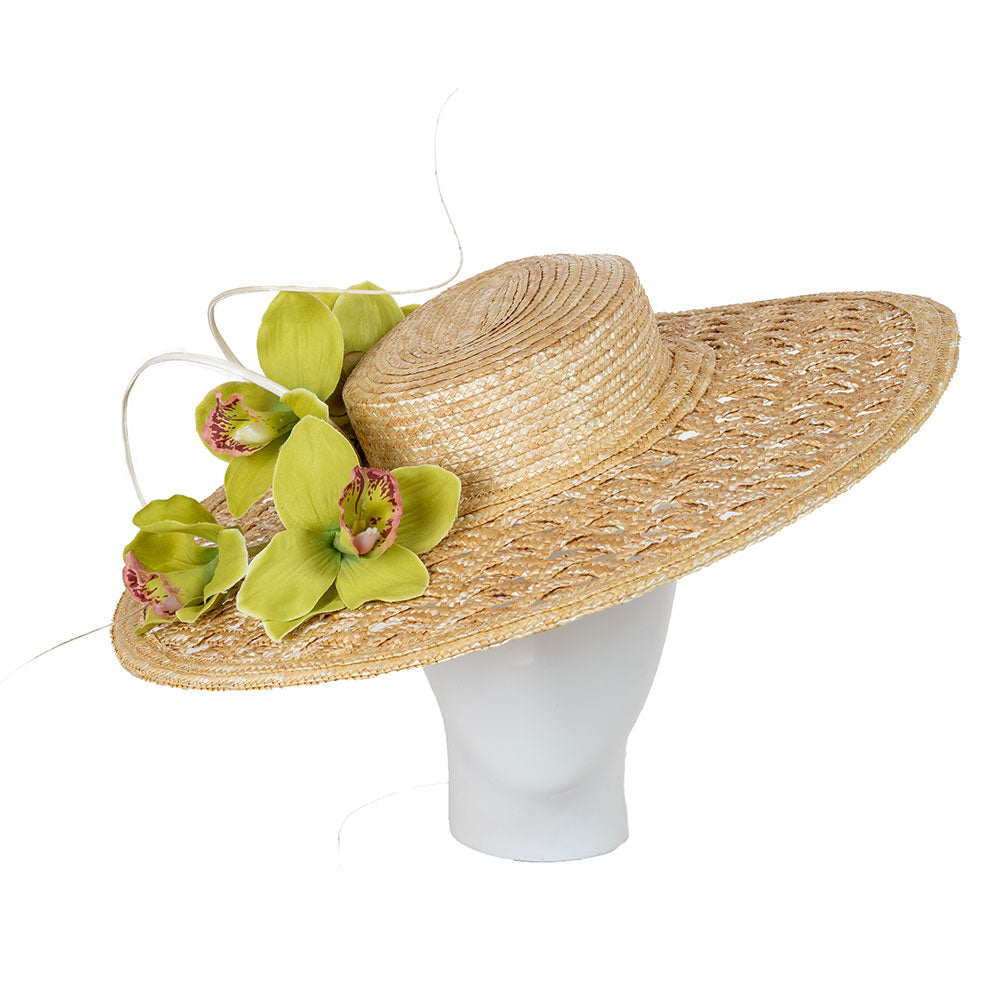 Spin the Wheel of Fortune